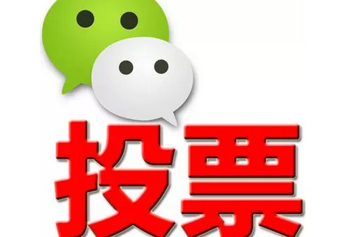 保定市微信投票功能开发 上传图片投票